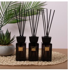 Enhance your space with the Aventi Diffusers 