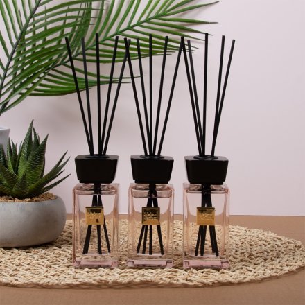 S/3 Coco Diffusers 