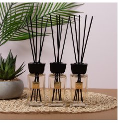 Elevate your space with the Liberty Diffusers Set 3