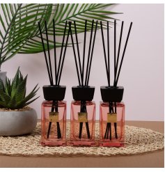 A charming set of scented diffuser's