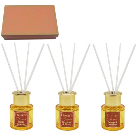 S/3 Amber Nectarine Citrus Diffusers, 7cm 