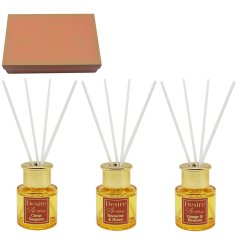 Brighten your space with the Diffusers Amber Nectarine Citrus Set 3