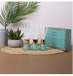 Enhance your space with the elegant Diffusers 
