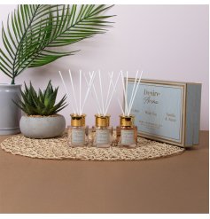Enhance your space with the Diffusers Cocoa Set of 3