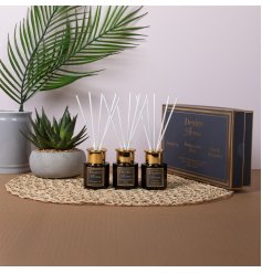 Sleek, stylish, and designed to fill any room 