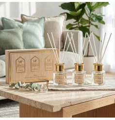 Elevate your space with the stylish and soothing Diffusers for a refined home ambiance.
