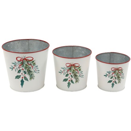 S/3 Holly Sprig Planters