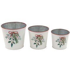 Add festive charm to your home with this set of three elegant Holly Sprig PlanterS