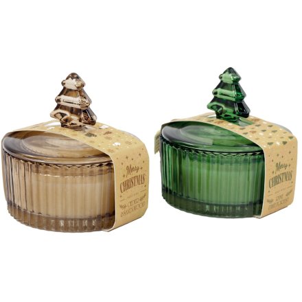 2/A Candle W/tree Lid, 10cm 