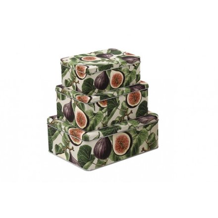 22cm Fig & Pom Rectangle Tins S/3 