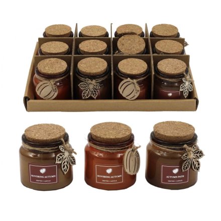 6.2cm Candle Pot with Natural Cork Lid, 3/A 