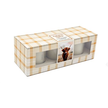 Highland Cow Votives in Box, S/3 
