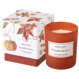 Create a warm and inviting atmosphere with this Pumpkin & Spice scented candle