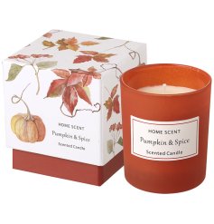 Fill your home with the comforting scent of Pumpkin & Spice.