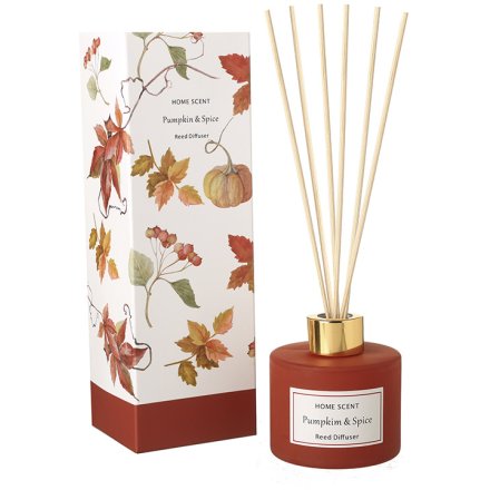 Pumpkin & Spice Reed Diffuser – 100ml 