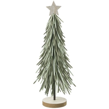 50cm Tall Green Longleaf Tree
