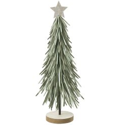 Enhance your garden’s beauty and privacy with our Tall Green Long Leaf Tree.