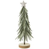 Elegant slender leaves bringing lively greenery to your home