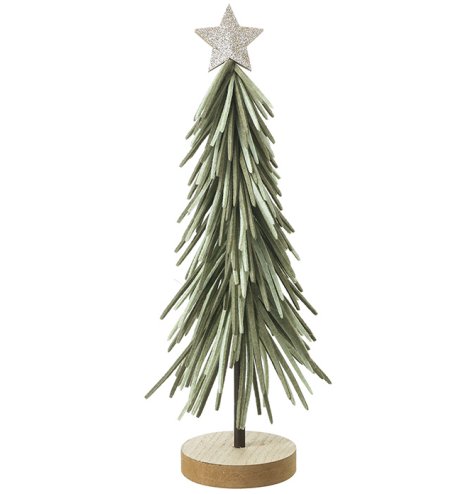 Elegant slender leaves bringing lively greenery to your home