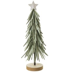 Lush greenery with slender leaves to brighten your living space