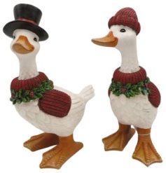 Endearing Christmas duck to brighten up your festive decorations