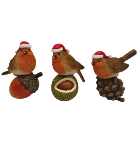 Charming robins seated on pine cones, each wearing a festive Santa hat, ideal for holiday decoration
