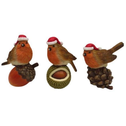 Charming robins seated on pine cones, each wearing a festive Santa hat, ideal for holiday decoration