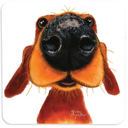 Nosey Nando Coaster, 10cm 