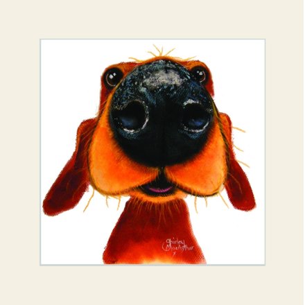 18.8cm Nosey Nando Mounted Print