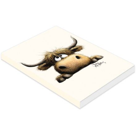 14.7cm Boris A6 Notebook