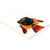 a fun nosey nando design note pad 