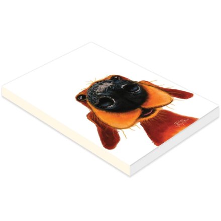 14.7cm Nosey Nando A6 Notebook