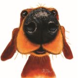 The Shirley Macarthur Nosey Nando Greeting Card features charming, playful artwork by Shirley Macarthur.