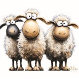 Send smiles with the Shirley Macarthur The Sheepies Greeting Card