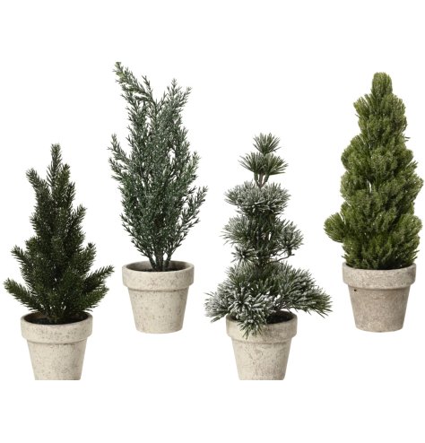 Bring warmth and sparkle indoors with this glittery snowy mini tree in a pot, perfect for festive decor.