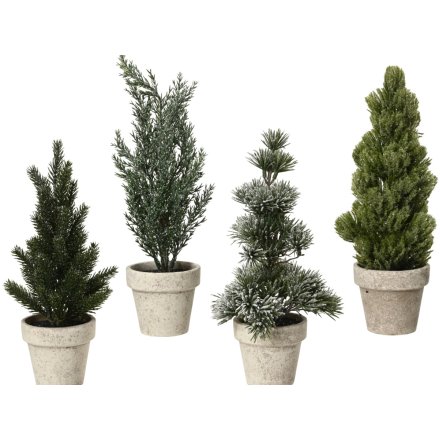 4/A Glittery Snowy Mini Indoor Tree in Pot, 30cm 