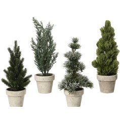 Add a cozy, festive glow to your space with this Indoor Glitter Snowy Mini Tree in Pot