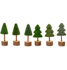 Bring nature indoors with the Mini Tree 6ass, made from 100% FSC Mix materials.