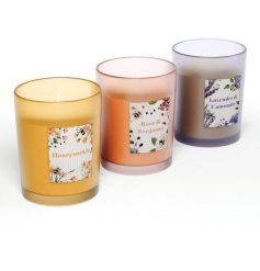 Fill your space with the delicate floral fragrance of Nectar Meadows