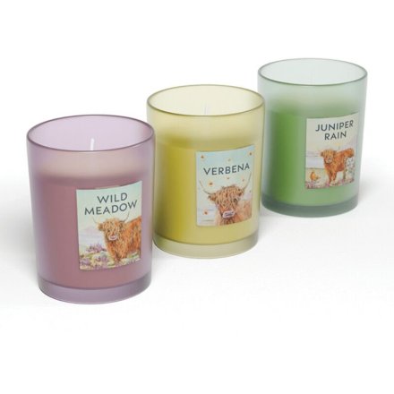 3/A Jan Pashley Highland Coo Candle, 6cm 