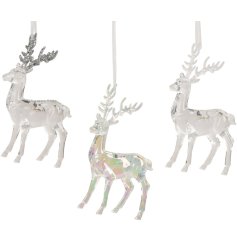 Give your Christmas tree a sparkling glow with this elegant Transparent Reindeer Tree Ornament.