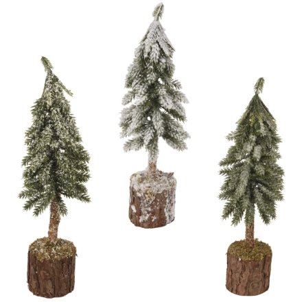 3/A Snowy Tree Trio, 26cm 