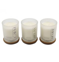 Find peace with the 9x10 Candle: Relax, Calm, and Revive your senses.