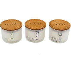 Enhance your space with peaceful aromas that soothe and refresh the mind and body