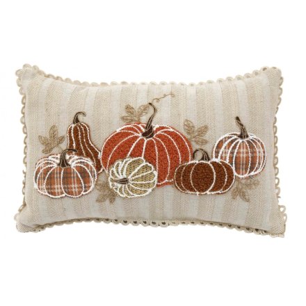 50cm Embroidered Scatter Cushion