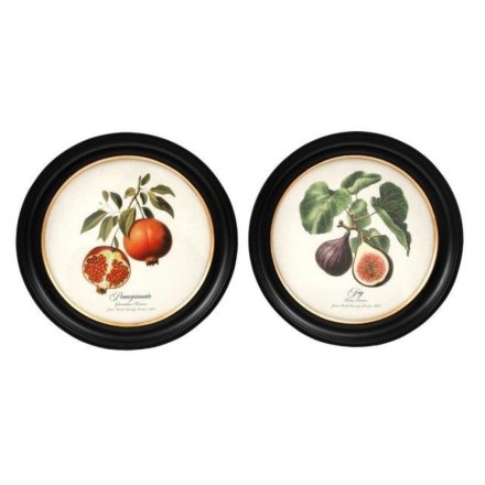 27cm Fig/pom Botanical Wall Art, 2/a