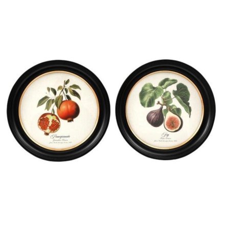 38cm Circular Fig Botanical Wall Decor