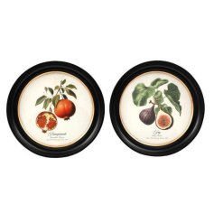 Enhance your space with elegant round wall art inspired by nature.