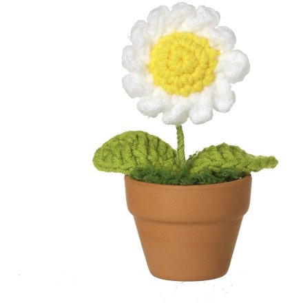Knitted Daisy in Pot, 12cm 