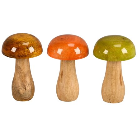 3/A Mushroom Deco, 13cm 